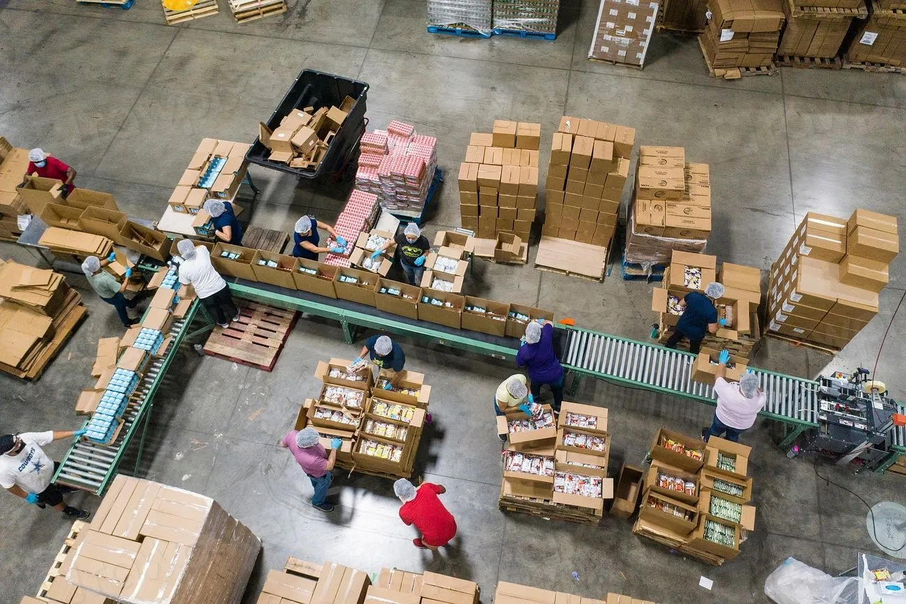 Overhead view of a packing line